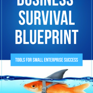 Business Survival Blueprint - Report